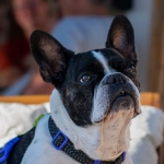 Программы лояльности казино без депозита для новых игроков