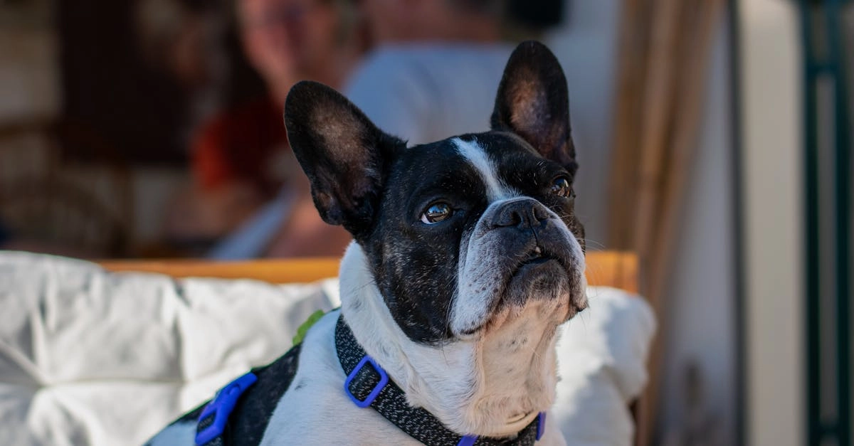 Программы лояльности казино без депозита для новых игроков